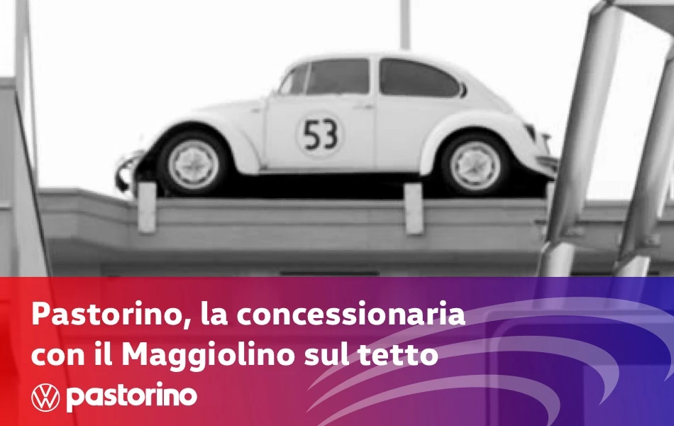 18 News Pastorino Concessionaria Maggiolino 950
