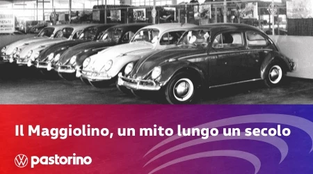 19 News Maggiolino Mito 450